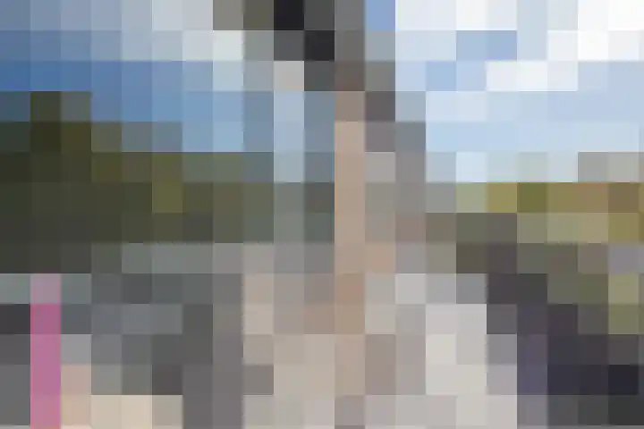 Nico Bergsteijnweg 27 Woudenberg thumbnail 23
