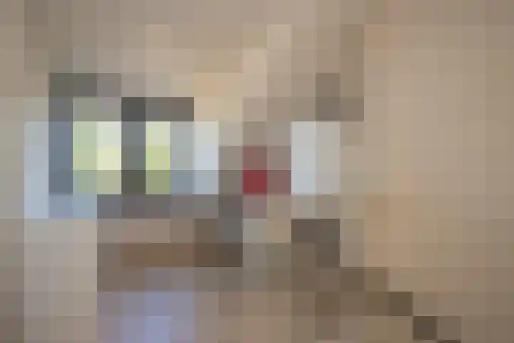 Nico Bergsteijnweg 27 Woudenberg thumbnail 26