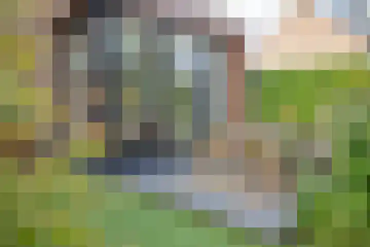 Nico Bergsteijnweg 27 Woudenberg thumbnail 32