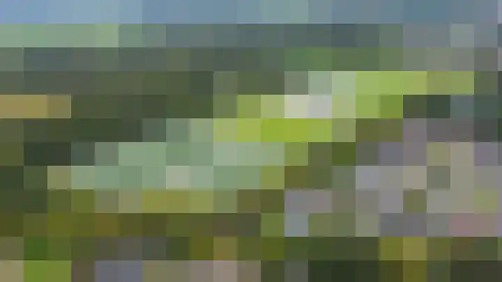 Nico Bergsteijnweg 27 Woudenberg thumbnail 36