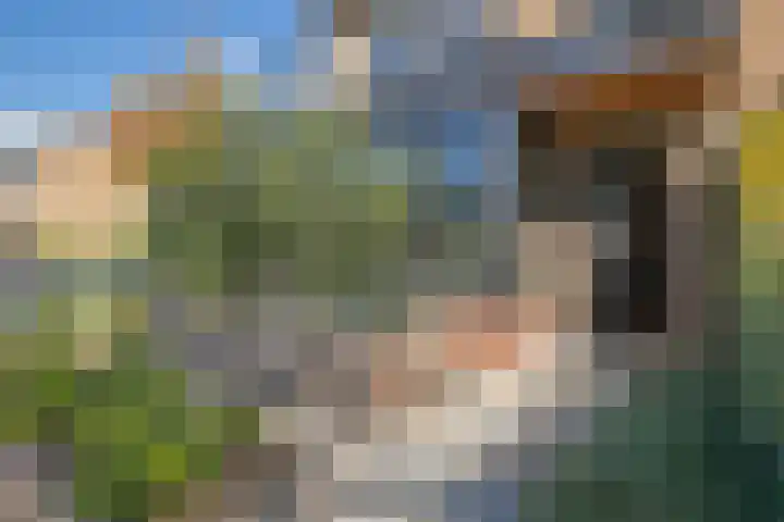 Nico Bergsteijnweg 27 Woudenberg thumbnail 6