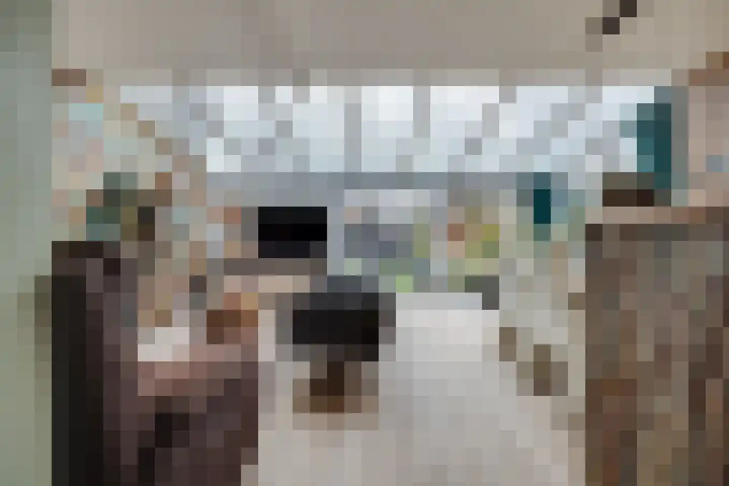 Nico Bergsteijnweg 33 Woudenberg thumbnail 12
