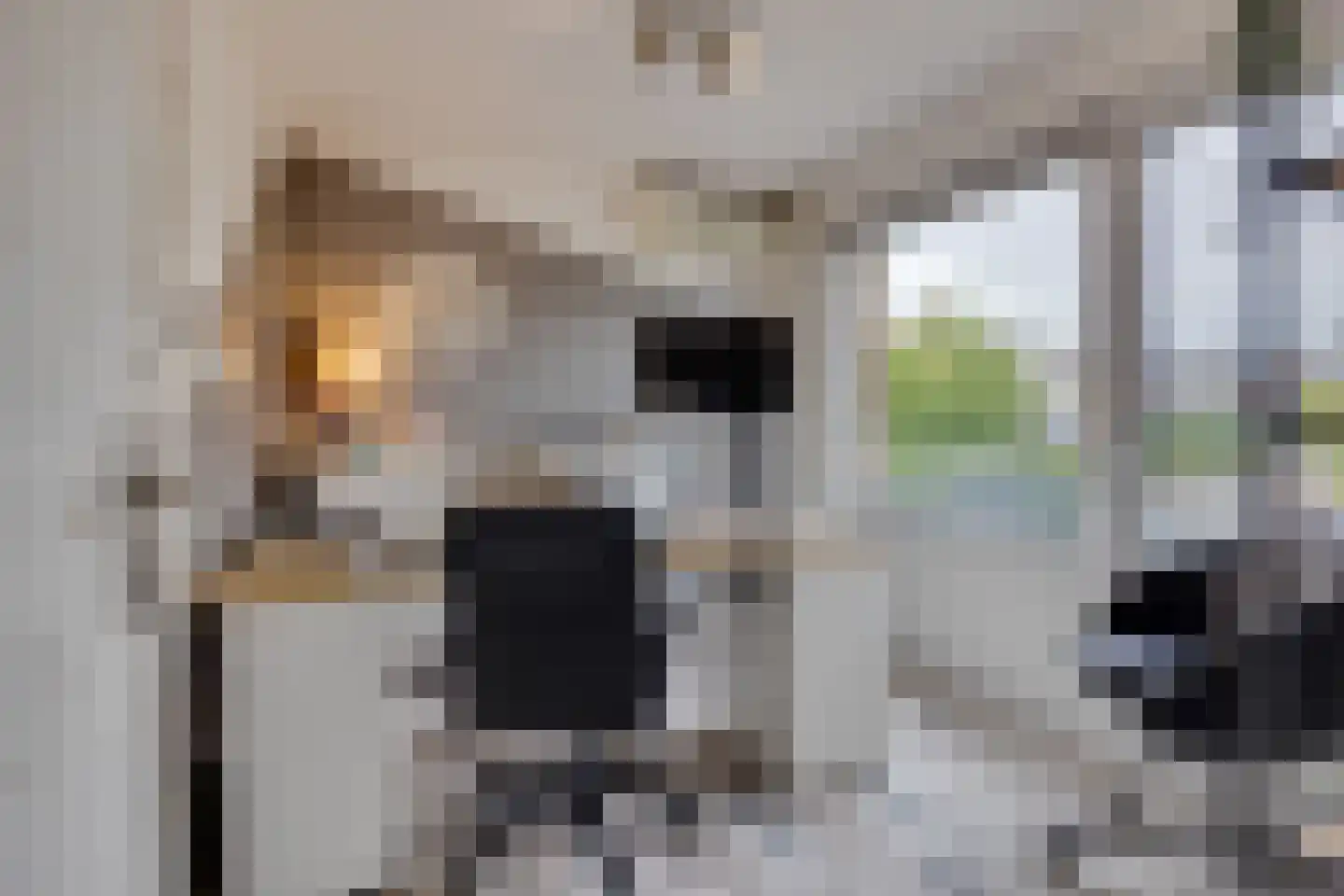 Nico Bergsteijnweg 33 Woudenberg thumbnail 19