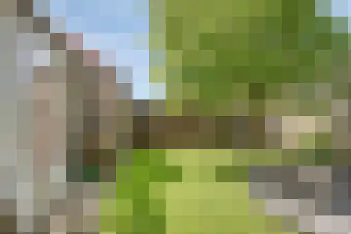 Nico Bergsteijnweg 58 Woudenberg thumbnail 32