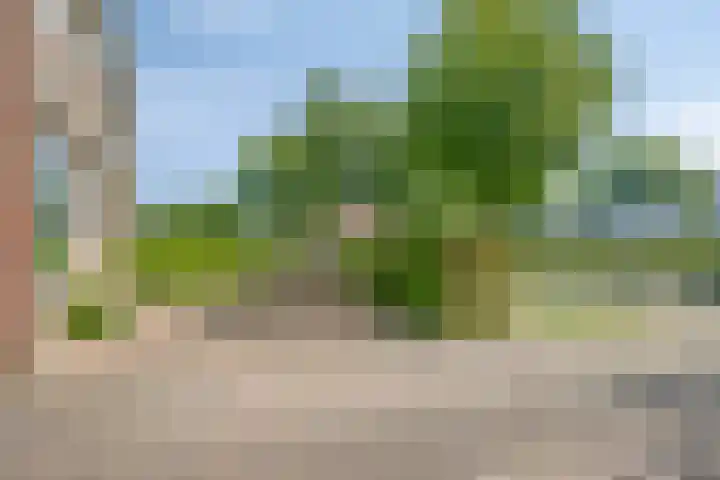 Nico Bergsteijnweg 58 Woudenberg thumbnail 33