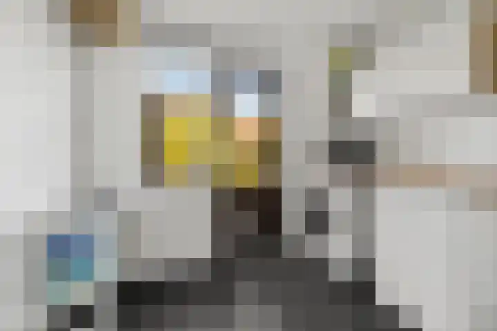 Nico Bergsteijnweg 9 Woudenberg thumbnail 17