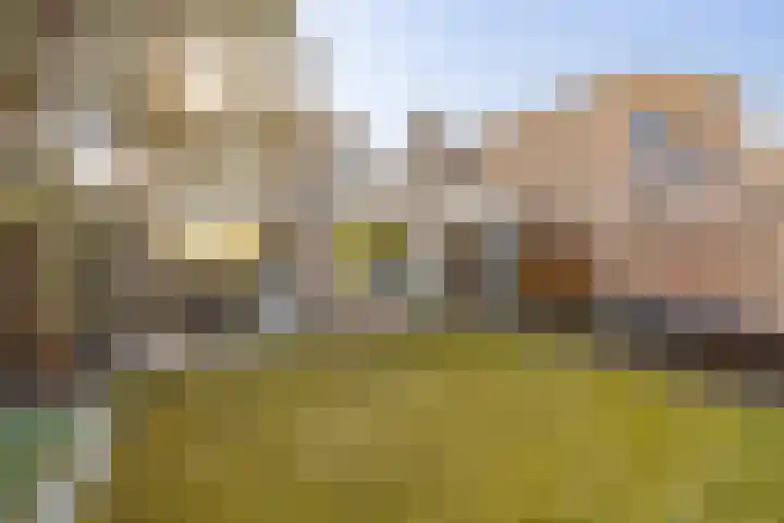 Nico Bergsteijnweg 9 Woudenberg thumbnail 30