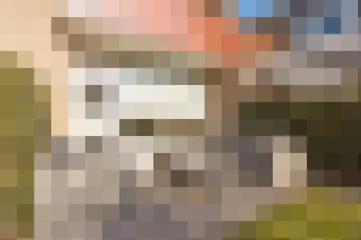 Nico Bergsteijnweg 9 Woudenberg thumbnail 31