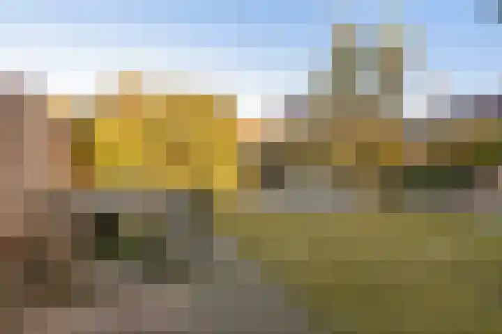 Nico Bergsteijnweg 9 Woudenberg thumbnail 4
