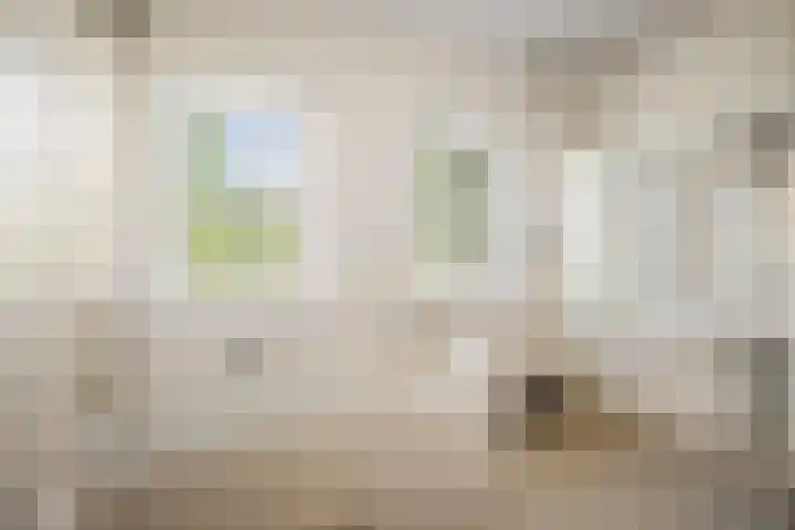Nico Bolkesteinlaan 20 Deventer thumbnail 19