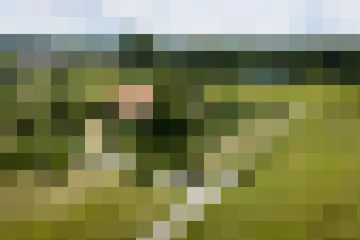 Nico Bolkesteinlaan 20 Deventer thumbnail 22