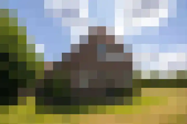 Nico Bolkesteinlaan 20 Deventer thumbnail 31