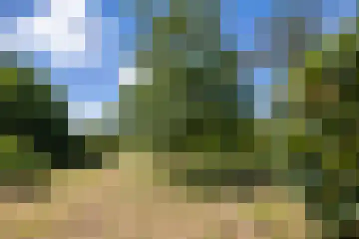 Nico Bolkesteinlaan 20 Deventer thumbnail 32