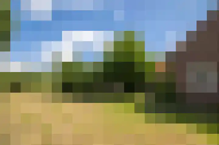 Nico Bolkesteinlaan 20 Deventer thumbnail 33