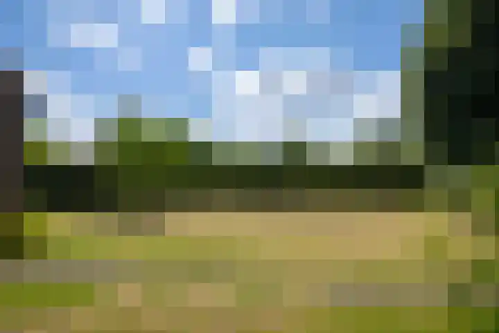 Nico Bolkesteinlaan 20 Deventer thumbnail 34