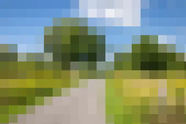 Nico Bolkesteinlaan 20 Deventer thumbnail 36