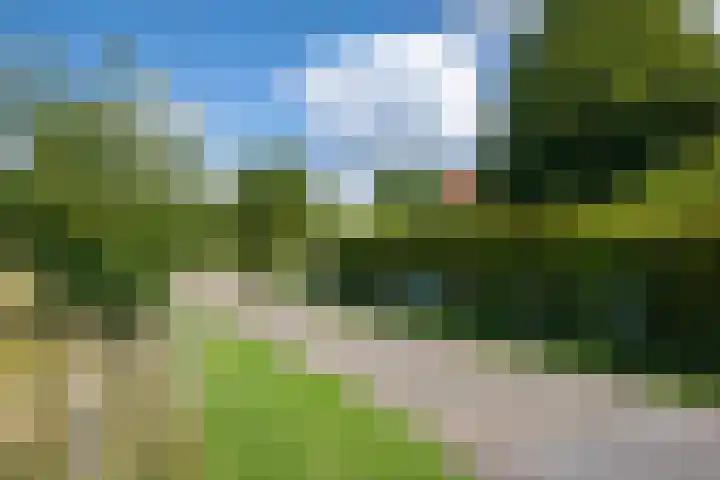 Nico Bolkesteinlaan 20 Deventer thumbnail 37