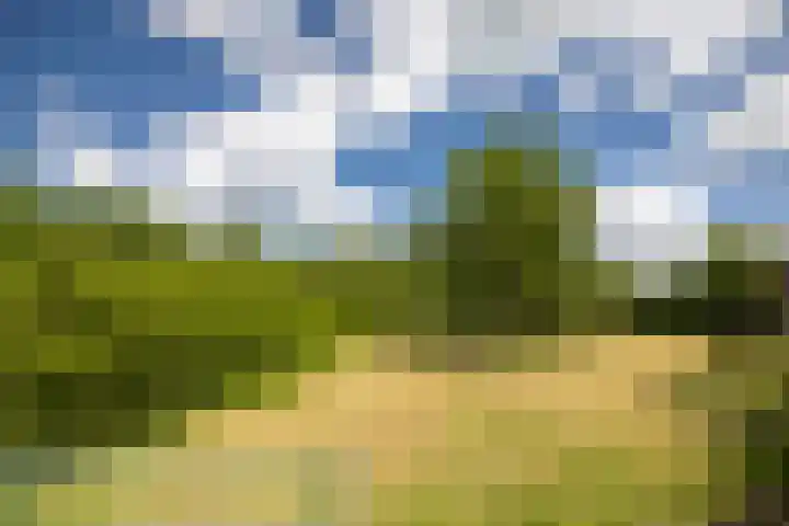 Nico Bolkesteinlaan 20 Deventer thumbnail 38