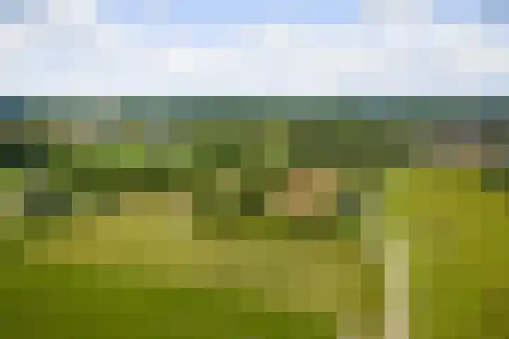 Nico Bolkesteinlaan 20 Deventer thumbnail 39