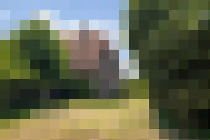 Nico Bolkesteinlaan 20 Deventer thumbnail 4