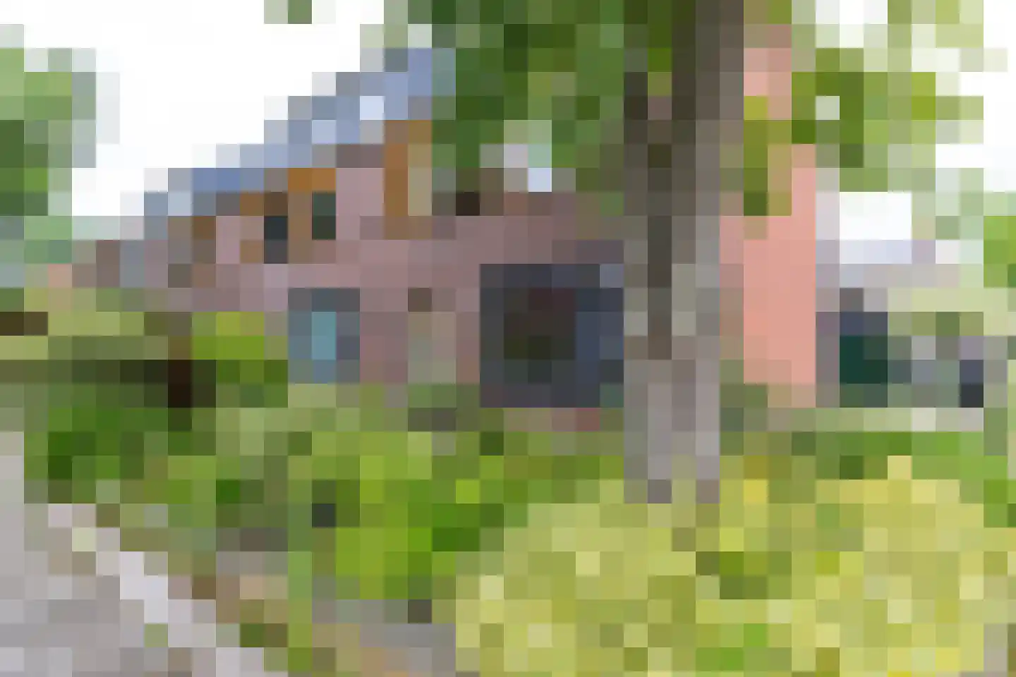 Nico Bulderstraat 29 Groningen thumbnail 8