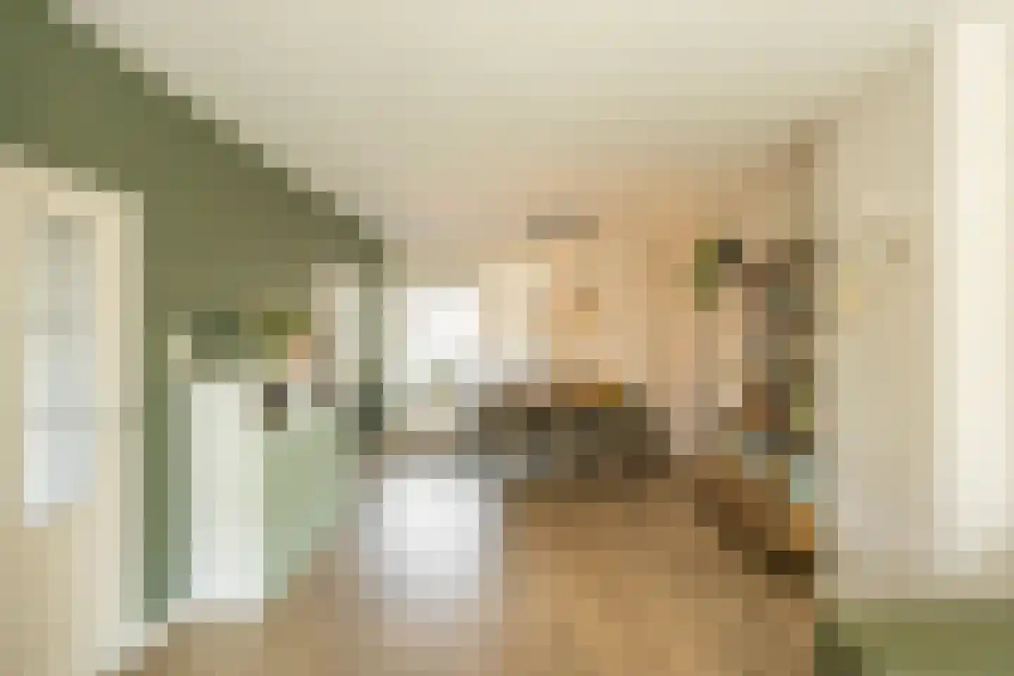 Nico Bulderstraat 33 Groningen thumbnail 14