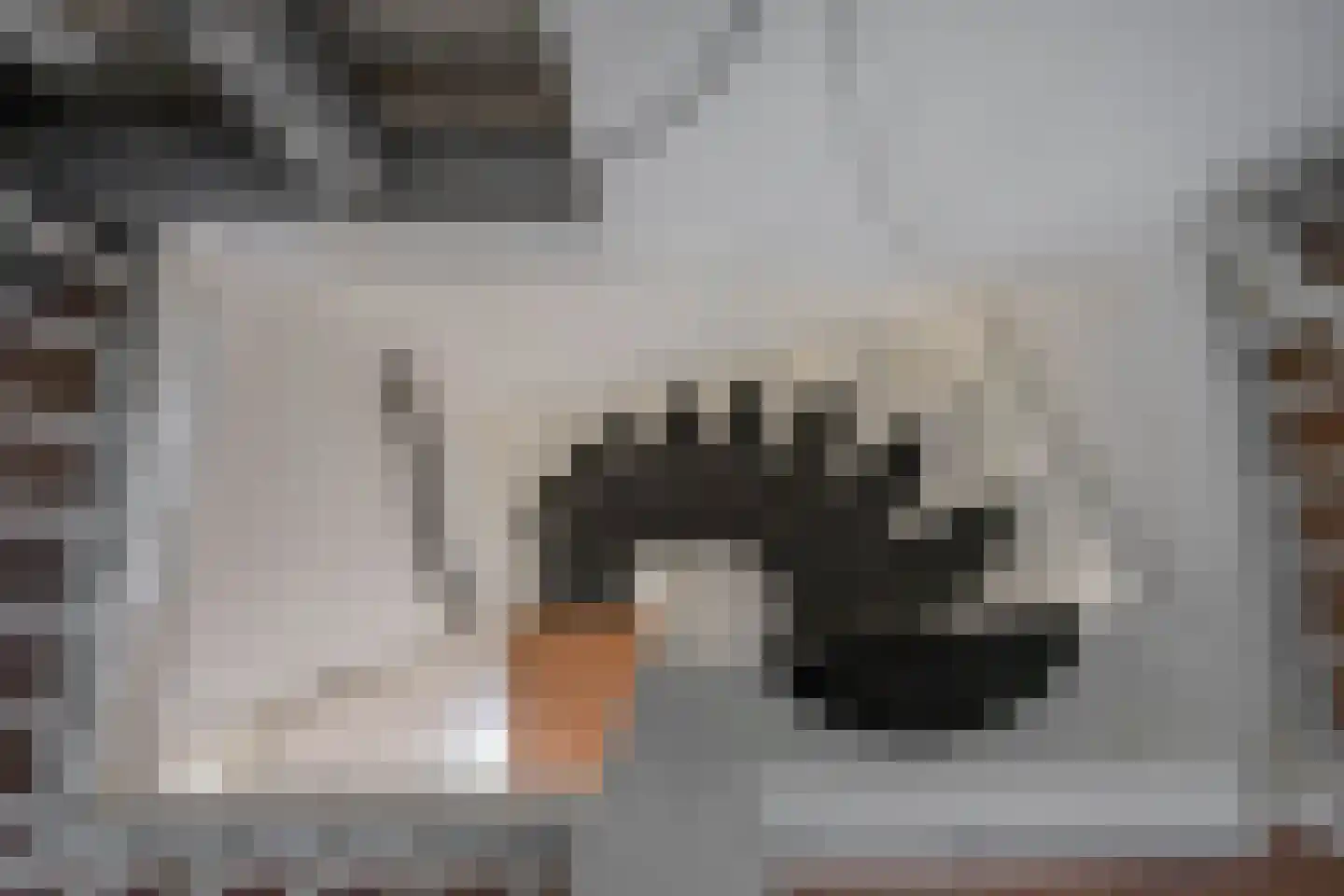 Nico Bulderstraat 33 Groningen thumbnail 27