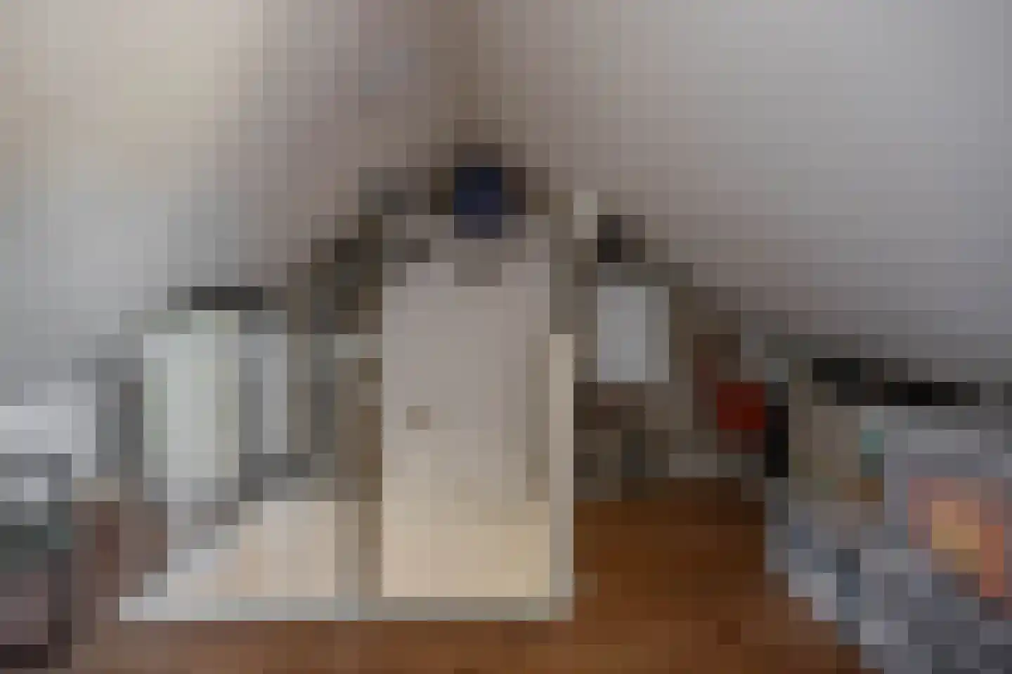 Nico Bulderstraat 33 Groningen thumbnail 28