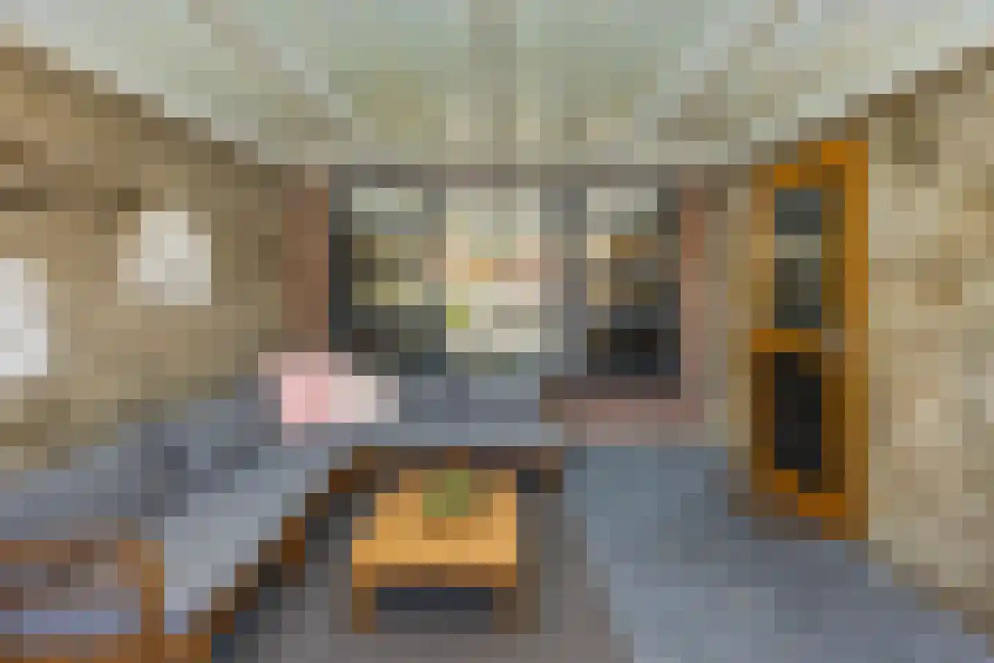 Nico Bulderstraat 33 Groningen thumbnail 35