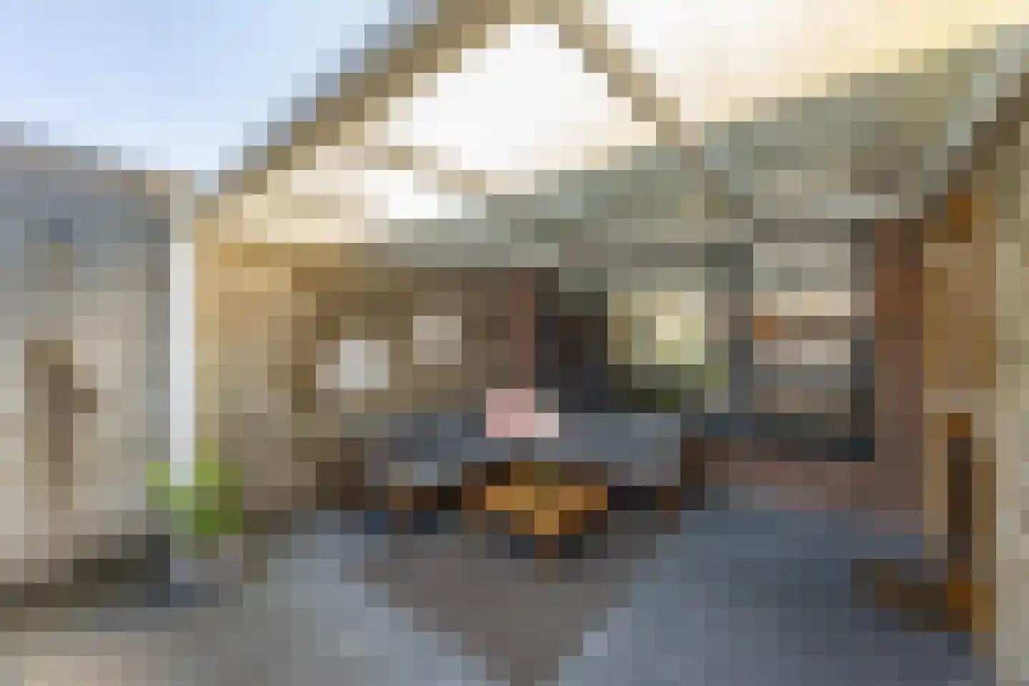 Nico Bulderstraat 33 Groningen thumbnail 36