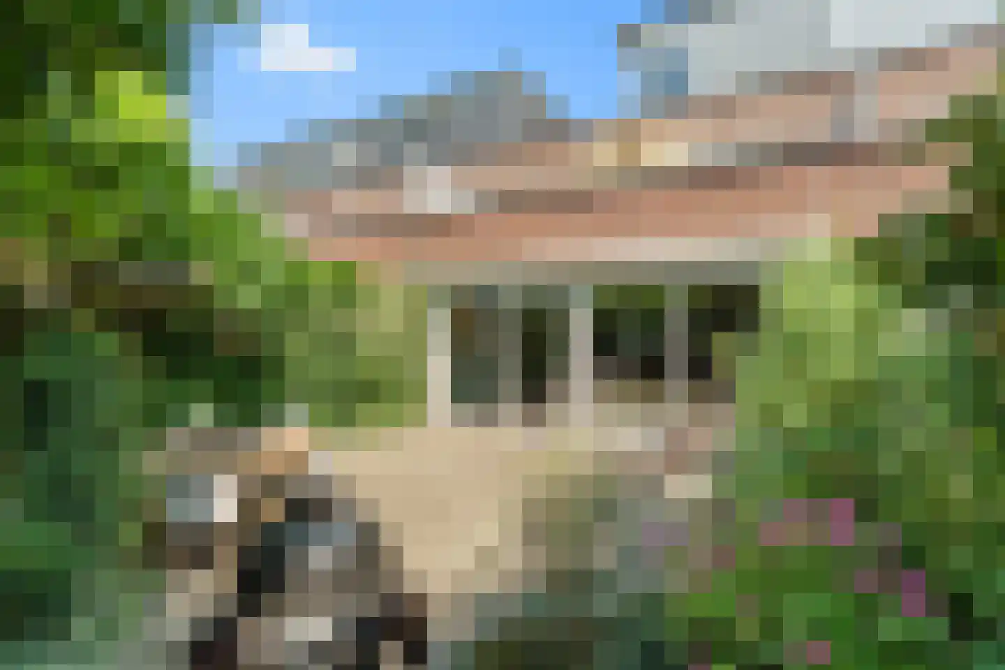 Nico Dostalstraat 8 Utrecht thumbnail 26