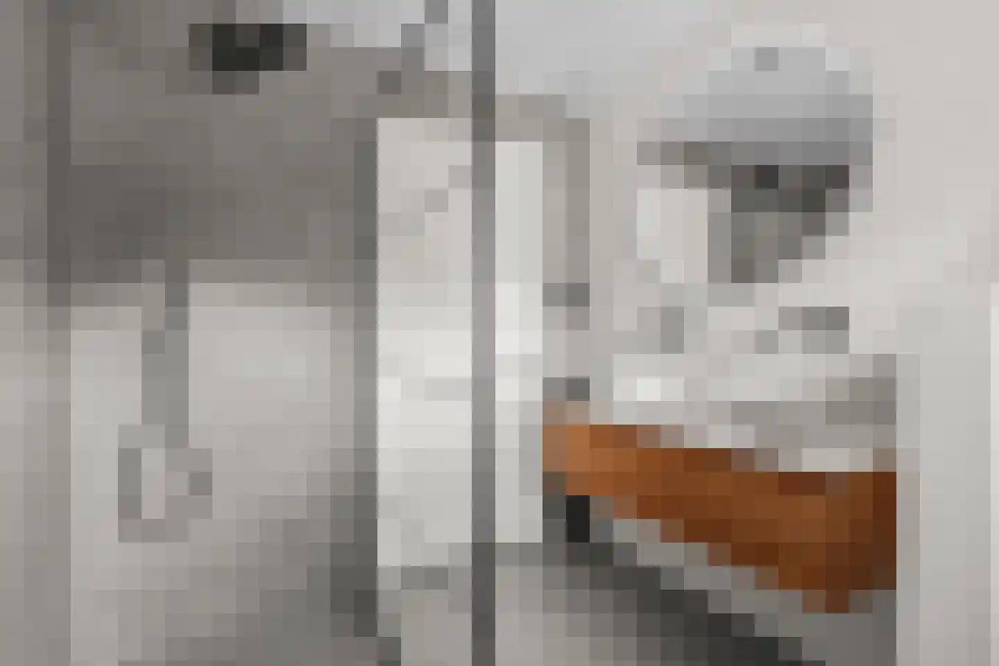 Nico Dostalstraat 8 Utrecht thumbnail 37
