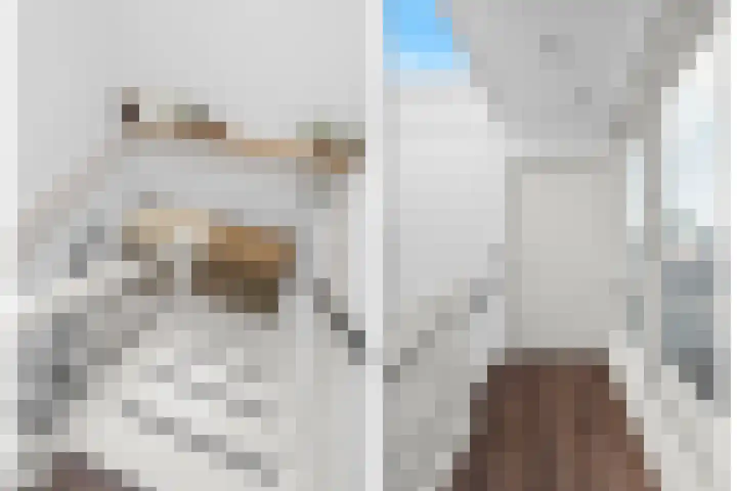 Nico Dostalstraat 8 Utrecht thumbnail 43