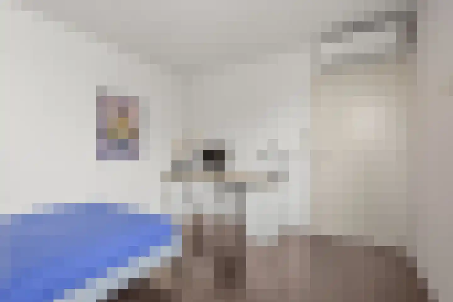 Nico Dostalstraat 8 Utrecht thumbnail 45