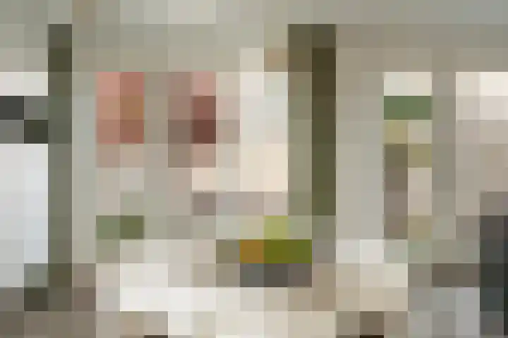 Nico Jessekade 113 Amsterdam thumbnail 11