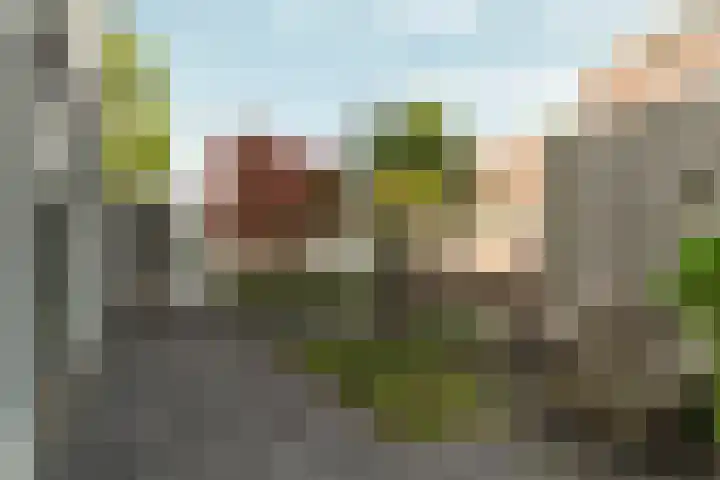 Nico Jessekade 113 Amsterdam thumbnail 13