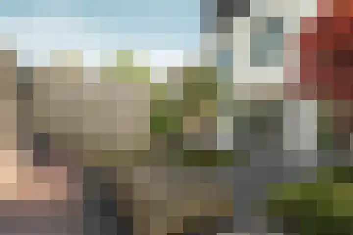 Nico Jessekade 113 Amsterdam thumbnail 14