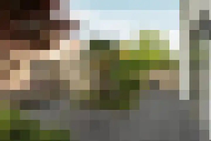 Nico Jessekade 113 Amsterdam thumbnail 15