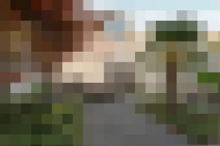 Nico Jessekade 113 Amsterdam thumbnail 16