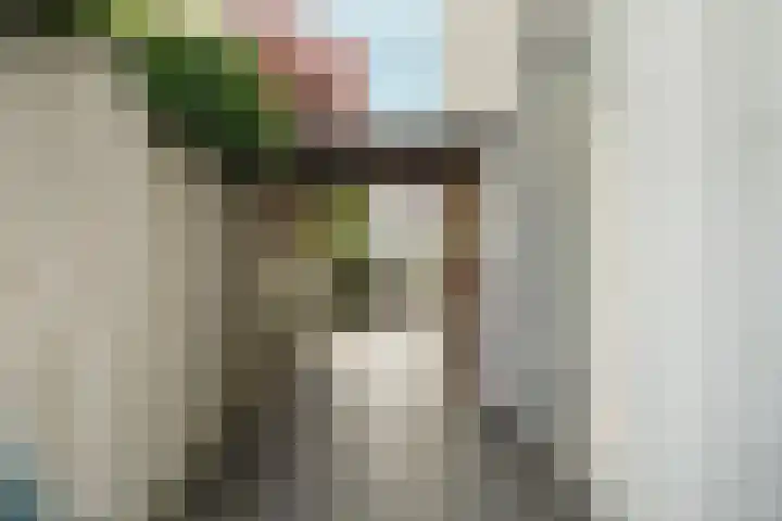 Nico Jessekade 113 Amsterdam thumbnail 17