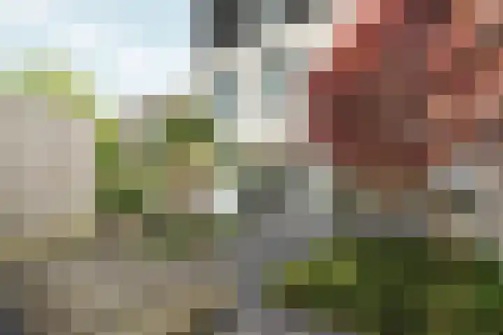 Nico Jessekade 113 Amsterdam thumbnail 18
