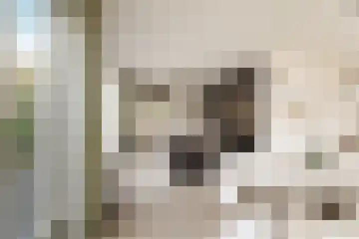 Nico Jessekade 113 Amsterdam thumbnail 19
