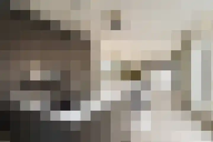 Nico Jessekade 113 Amsterdam thumbnail 21