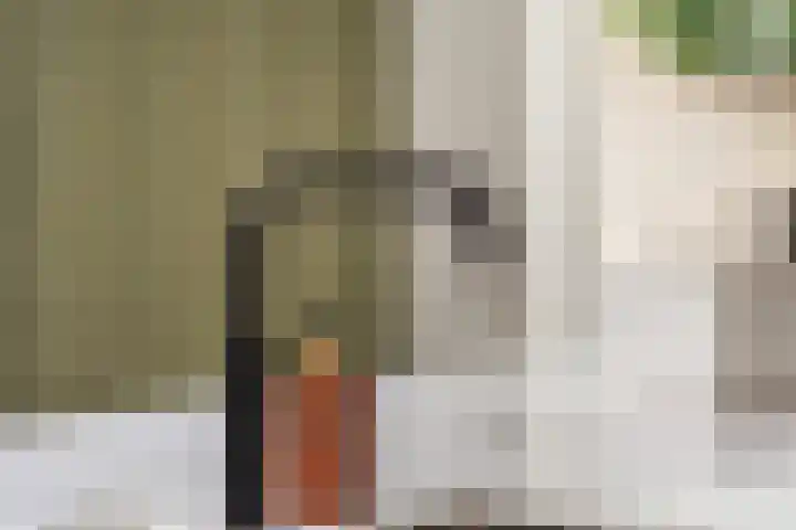 Nico Jessekade 113 Amsterdam thumbnail 22