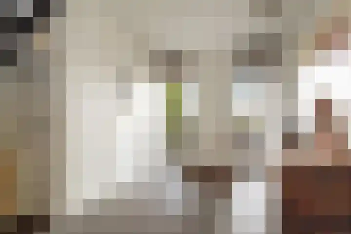 Nico Jessekade 113 Amsterdam thumbnail 27