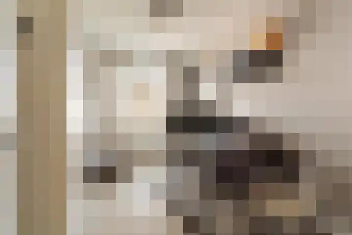 Nico Jessekade 113 Amsterdam thumbnail 31