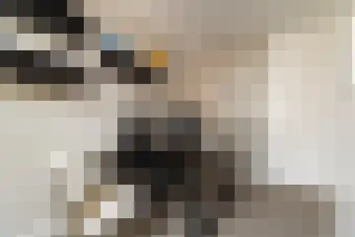 Nico Jessekade 113 Amsterdam thumbnail 32