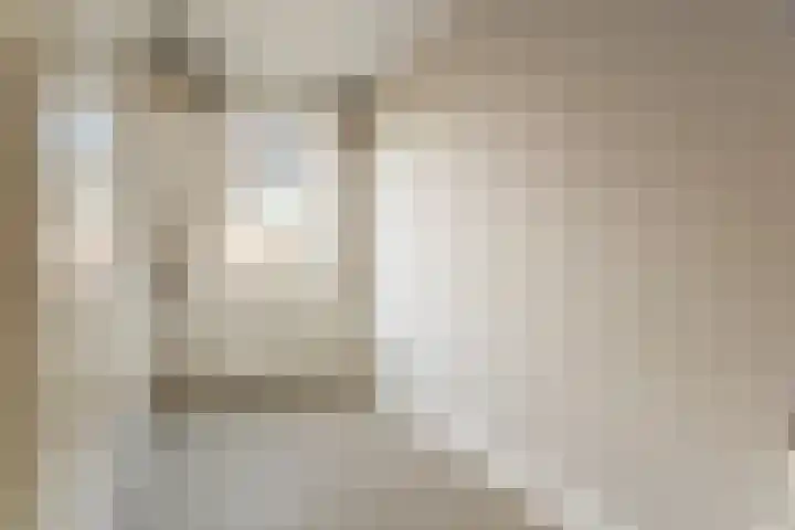 Nico Jessekade 113 Amsterdam thumbnail 33