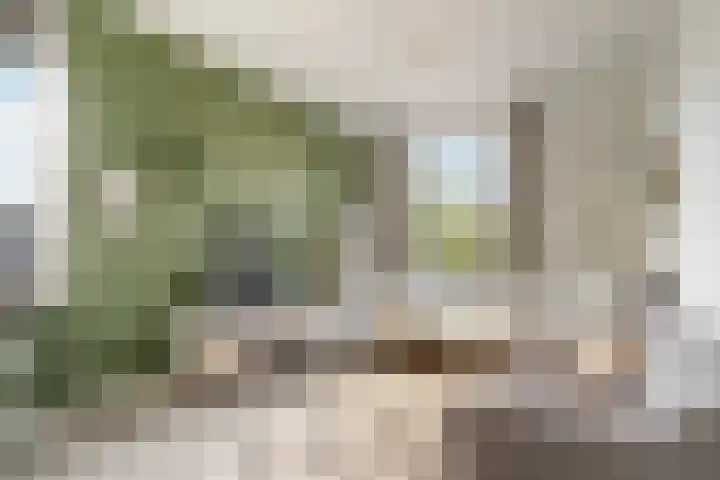 Nico Jessekade 113 Amsterdam thumbnail 34