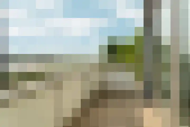 Nico Jessekade 113 Amsterdam thumbnail 37